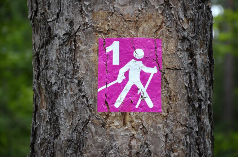 Nordic Walking – marsz po zdrowie